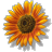 iosapps