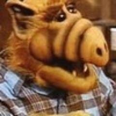 Burl Schapiro