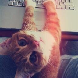 ญ. แย้ม (-‿◦)