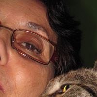 Olga Piglionica Teixeira