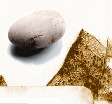 Helvetica Stone
