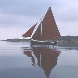 tuigim