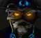 executor