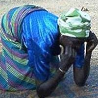 Nida Buhendwa