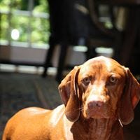 Linda Rattray Froy
