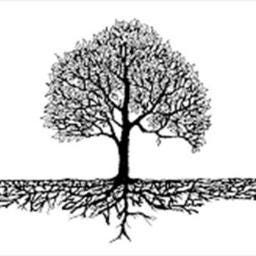 Rootedsolutions