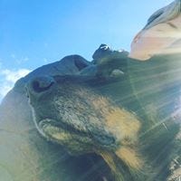 Lauren Jury Armitage