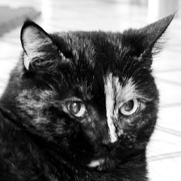 Anja