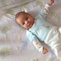 Eliane Ribeiro Uribe