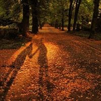 Sunshadow Travels