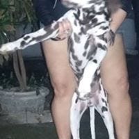 Melissa Sa