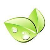 Green City Times