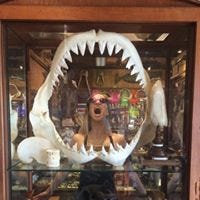 Meghan Braatz