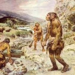 Neanderthal News