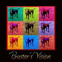 Buster's Vision