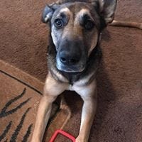 Becky Eversole Soubeyrand