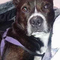 Mollybridgette Turley