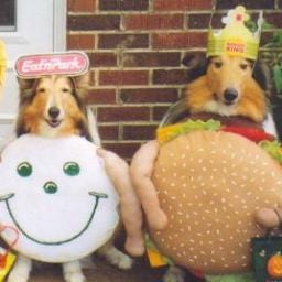 Isabella P. Pipitone