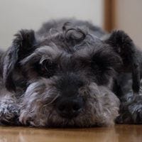 Yuhei