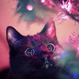 CATCAT