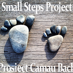 Small Steps Project