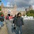 Vidula