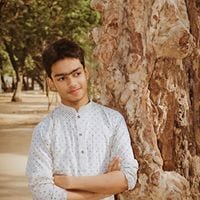 Md Salauddin