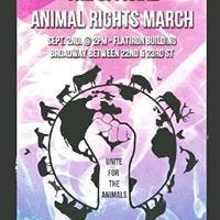 Rachel J Levy Ejsmont