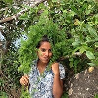 Arya Gouri