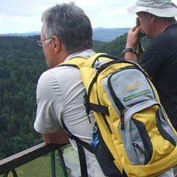 Marc Kenis
