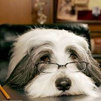Shaggy McRuff