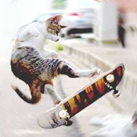 Waters Whet