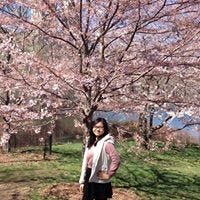 Amy Miao