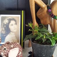 Josefina Baui