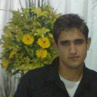 Paulo C N Silva