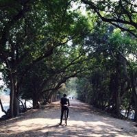 Pavan Yadav
