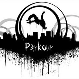 idealparkourshoes