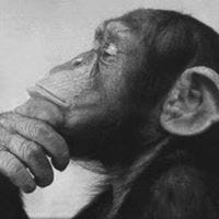 David Emmanuel George