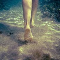 Stephanie Guillet