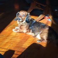 Brandi Rice-Blumerich