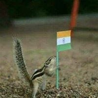 Vikram Patole