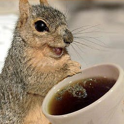 Squirrels & Coffee!