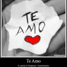 FREDDY VELEZ