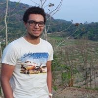 Stephen Sayhello