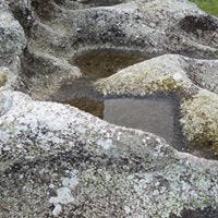 Maria Virginia Almeida Aguiar