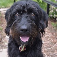 Cheri Losinski Buswell