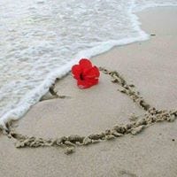 Hoda M. Ibrahim
