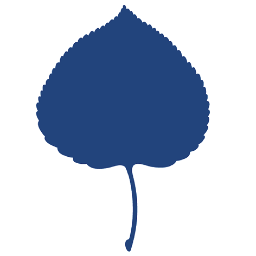 Aspen Institute