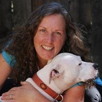 Sandi Goodwin