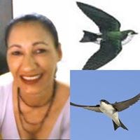 Eunice Rodrigues